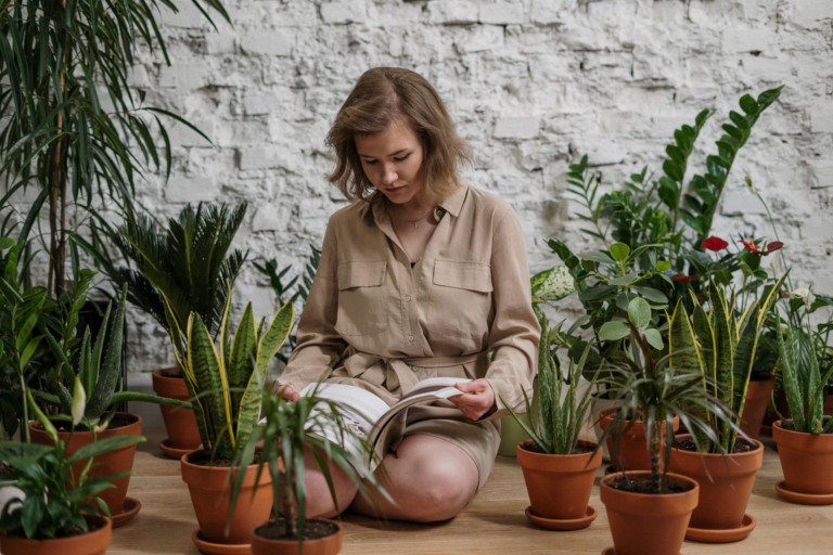 How to Keep Plants in the Best Health